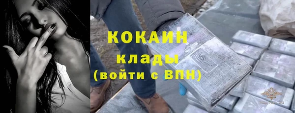 прущие грибы Арсеньев