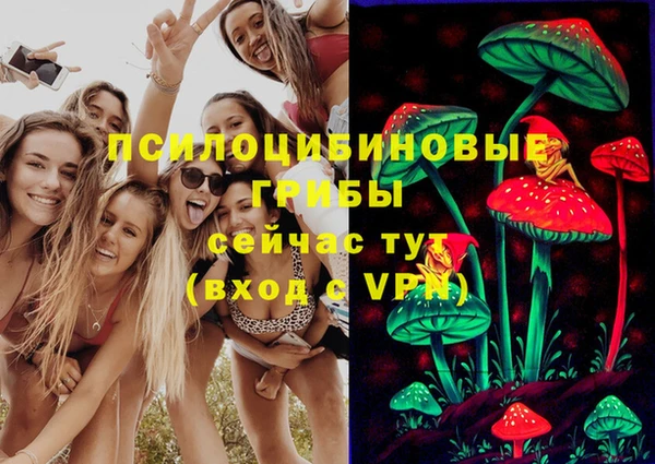 МДПВ Семикаракорск