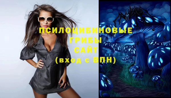 Альфа ПВП Алзамай