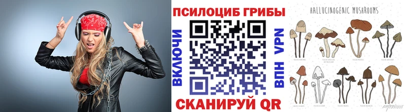 Псилоцибиновые грибы мицелий  Купить где  Будённовск 